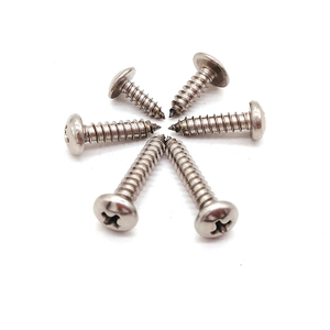 Stainless Steel SUS 201/304 Torx M2 Wood Self Tapping Screw