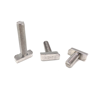 Customized Fastener Stainless Steel 304 316 A2-70 A4-70 T Head Type Bolt