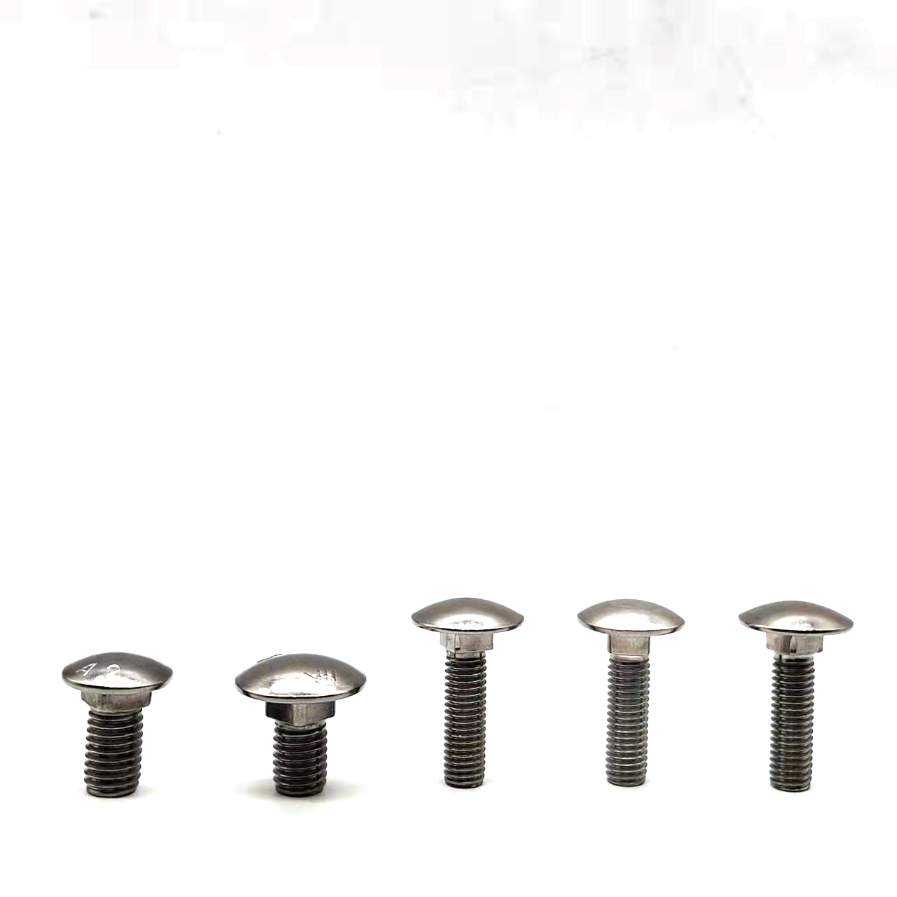Stainless Steel Carriage Bolts Coach Bolts Buy stainless steel